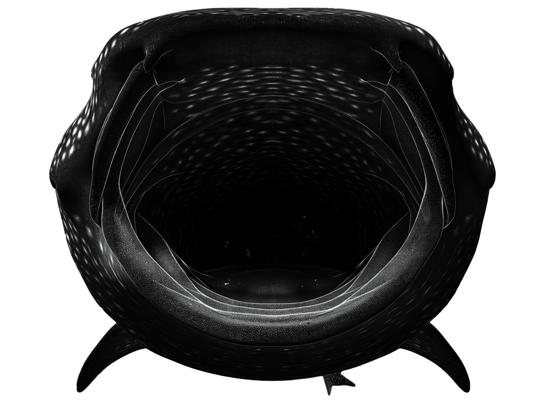 Big Whale