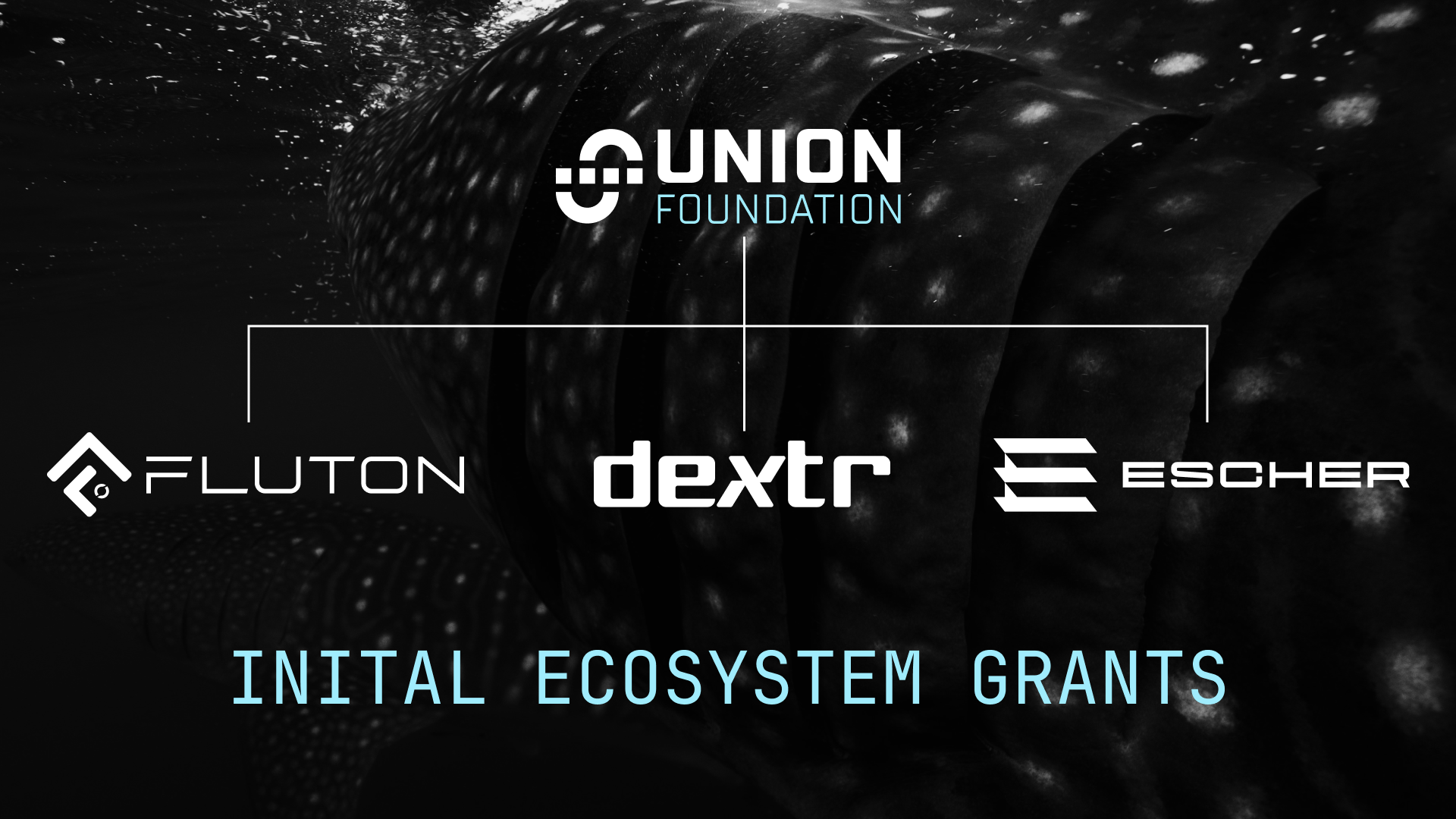 Graphic that shows the Union Foundation, with lines to the initial ecosystem grants of Fluton, Dextr, amd Escher Finance.