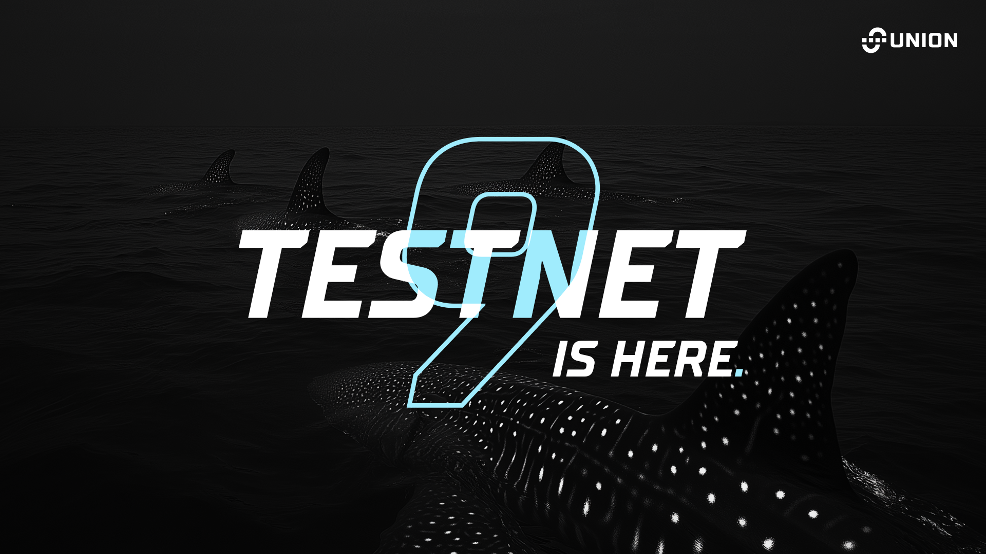Graphic that says "Testnet 9 is here."